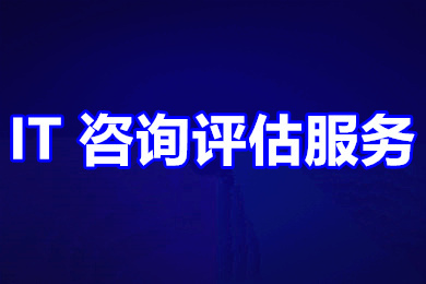 IT 信息技术咨询规划服务 IT咨询评估服务